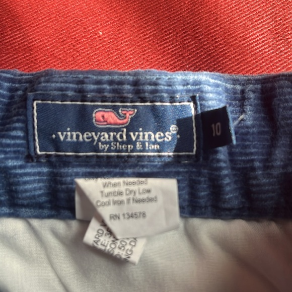 Blue Christmas VV Corduroy pants - Picture 4 of 5